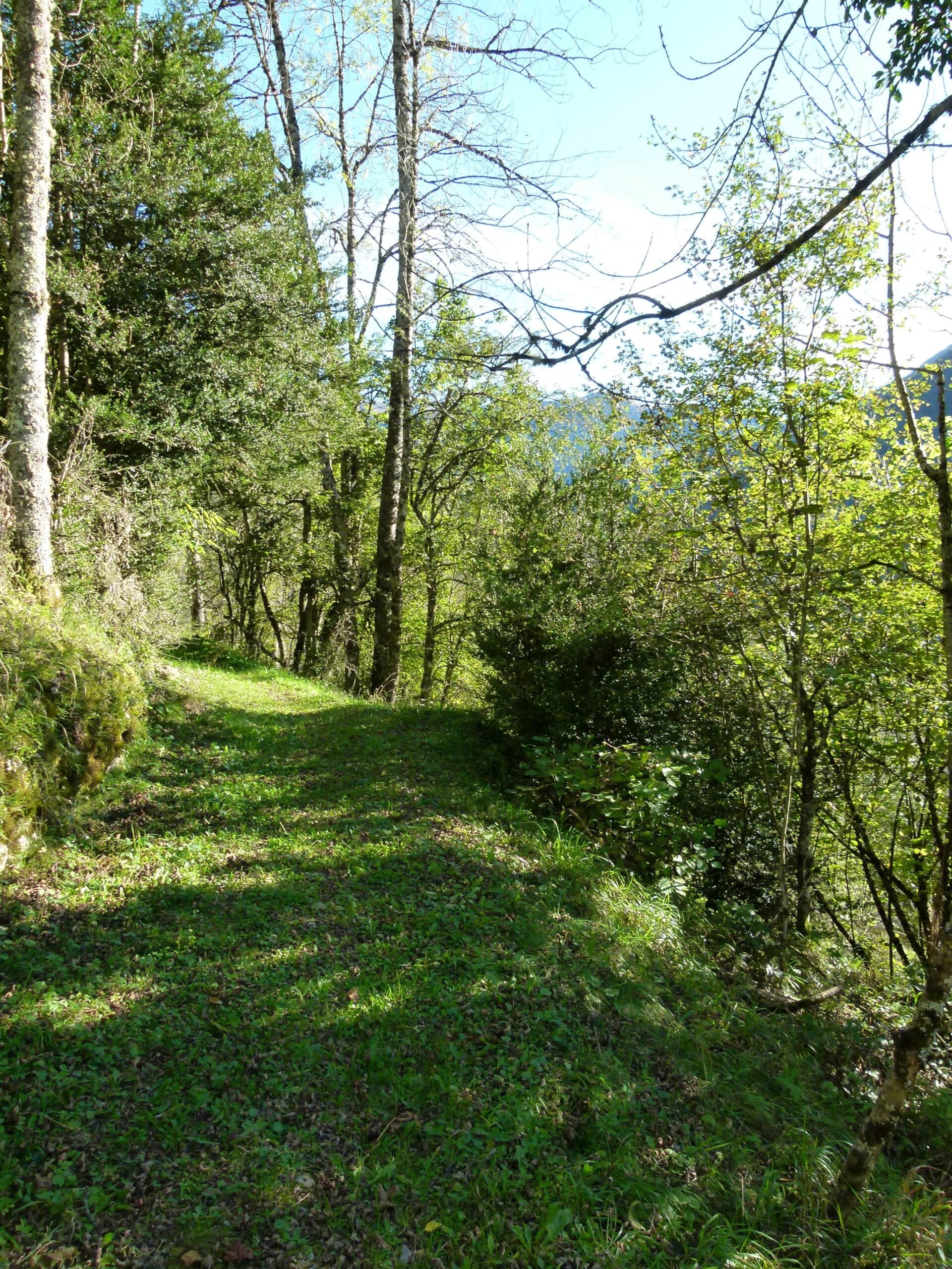 Historia-et-Laetitia-En-chemin-vers-la-nature-trois-points-de-suspension-min